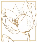Lotus Flower Botanical Print