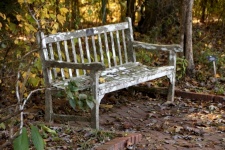 Old Bench Chair