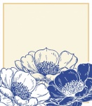Poppy Flowers Botanical Print
