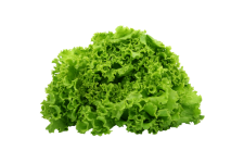 Salad Vegetables Veggie Clipart