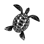 Sea Turtle Clipart