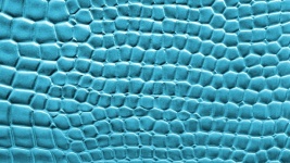 Sky Blue Crocodile Skin Background