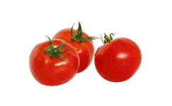 Tomato Vegetable Veggie Clipart
