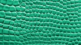Turquoise Crocodile Skin Background