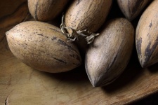 Unshelled Pecan Nuts On Wood