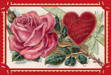 Valentine Vintage Red Rose