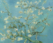 Van Gogh - Blossoming Almond Tree