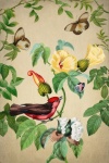 Vintage Floral Bird Butterflies