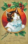 Vintage Christmas Card Cat