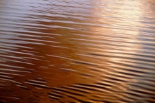 Water Surface Ripples Reflection
