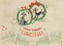 Christmas Card Dogs Poodles