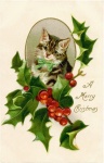 Christmas Cat Holly