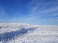 Winter Frost Prairie Weather