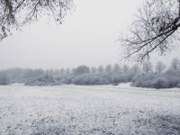 Winter Landscape Nature