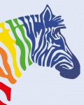 Zebra Rainbow Stripes Poster