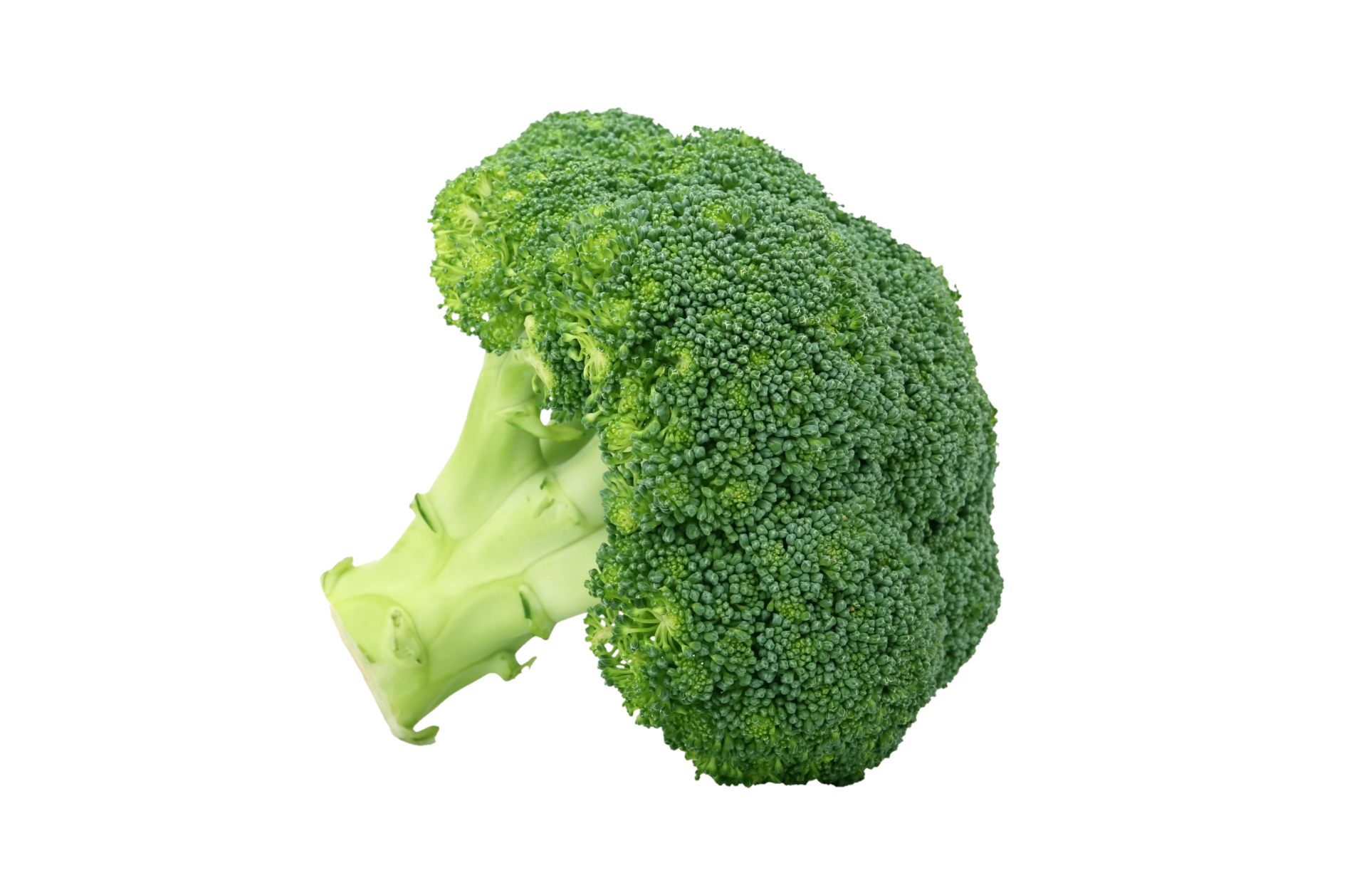 Broccoli Vegetable Veggie Clipart