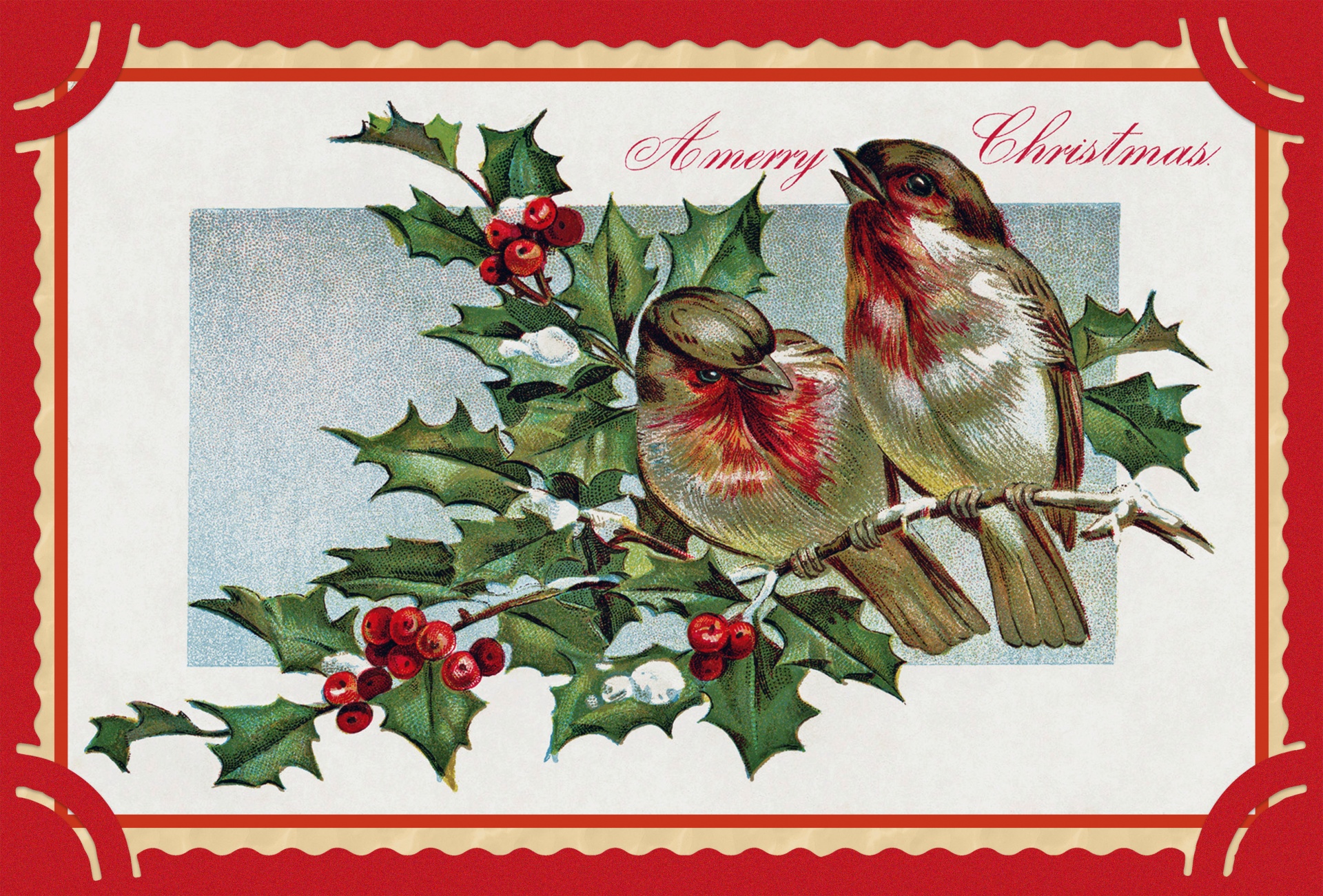 Christmas Birds Vintage Card