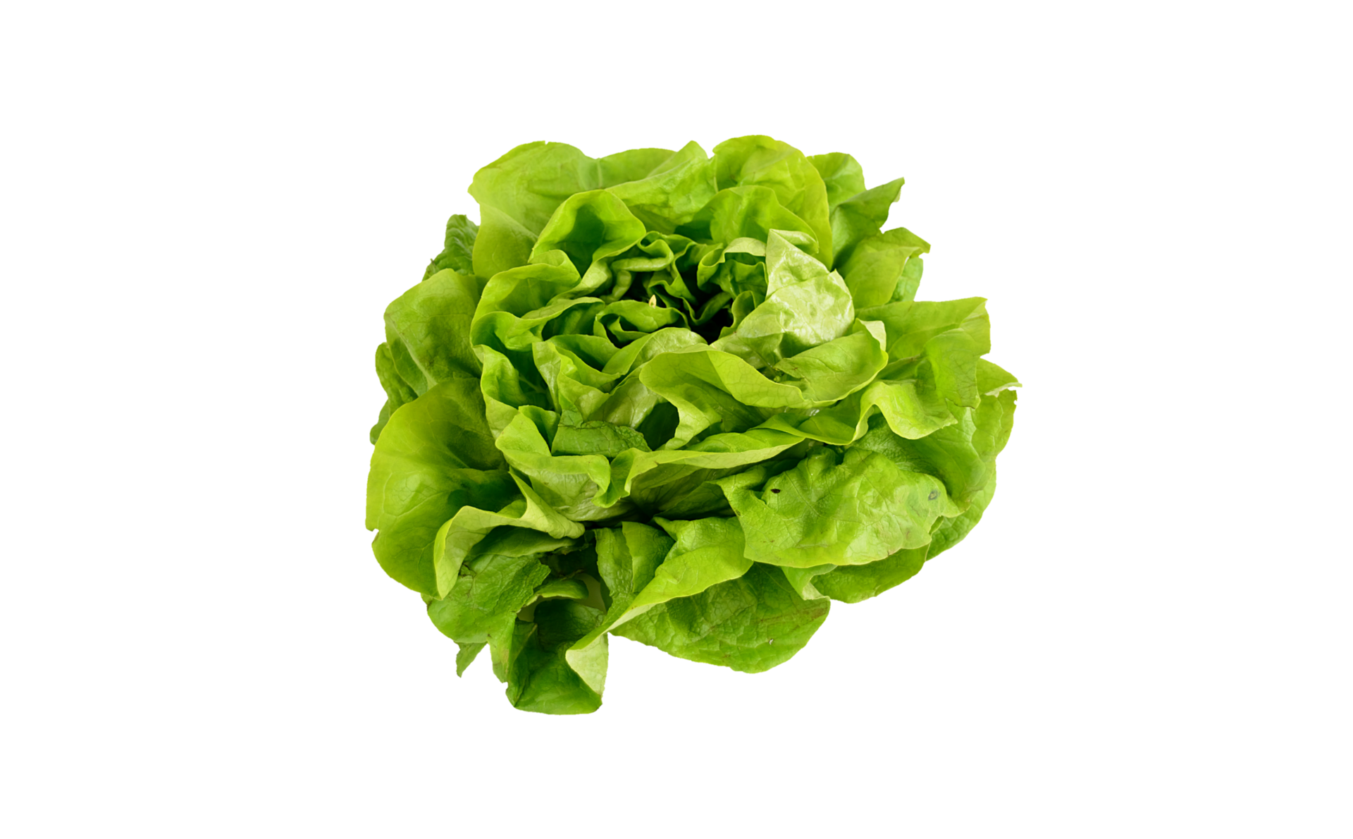 Salad Vegetable Fruit Clipart