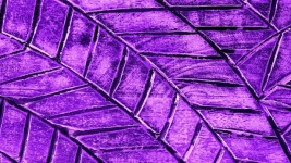 Abstract Lilac Pattern Background