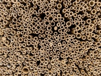 Bamboo Insect Hotel