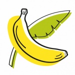 Banana Fruit Illustration