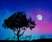 Tree Moon Stars Sky