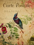Bird Vintage French Postcard