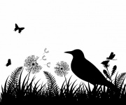 Blackbird Wildflower Meadow Clip