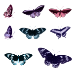 Butterflies Set Colorful Clipart