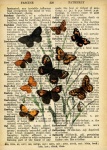 Butterflies Vintage Art Dictionary