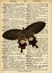 Butterfly Vintage Art Dictionary