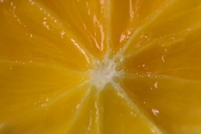 Centre Of Sliced Orange
