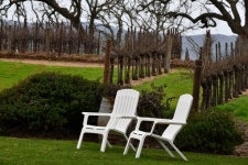 Chairs On The Lawn