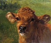 Cow Calf Vintage Art