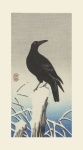 Crow Japanese Vintage Art