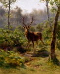 Deer Stag Vintage Art