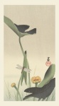 Dragonfly Japanese Vintage Art