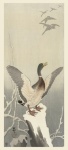 Duck Japanese Vintage Art