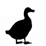 Duck Silhouette Clipart
