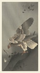 Eagle Japanese Vintage Art