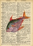 Fish Dictionary Page