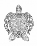Floral Turtle Line Art