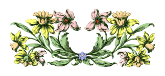 Flower Divider