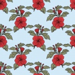 Flowers Hibiscus Pattern Background