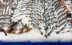 Fresh Fish On Ice