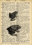 Frog Dictionary Page