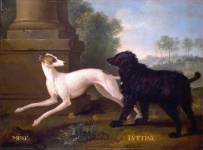 Greyhound Dog Vintage Art