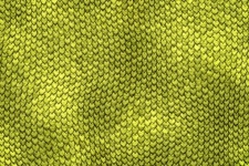 Green Reptile Scales Texture