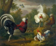 Roosters Chickens Art Illustration