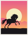 Horse Pink Sunset Poster